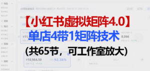 小红书虚拟矩阵4.0技术:单店4带1矩阵(共65节,可工作室放大)-川川创富网