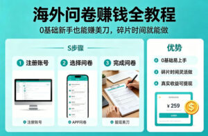 海外问卷賺钱全教程，0基础新手也能賺美刀，碎片时间就能做-川川创富网