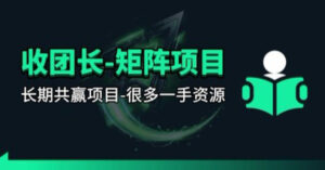 【团长合作】视频矩阵项目_招发手矩阵+剪辑师，共赢项目【揭秘】-川川创富网