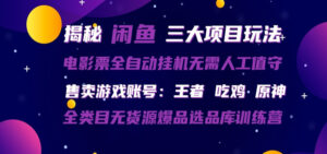 闲鱼三种玩法 全自动电影票 售卖游戏账号 爆品选品库训练营-川川创富网
