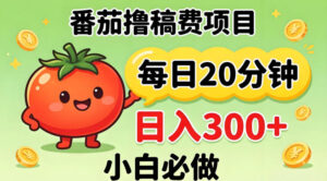 番茄撸稿费，每天20分钟，日入300+！0门槛躺賺，小白直接抄作业【揭秘】-川川创富网