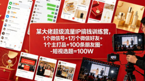 某大佬超级流量IP搞钱训练营，1个微信号+1万个微信好友+1个主打品+100条朋友圈-短视选题=100W-川川创富网
