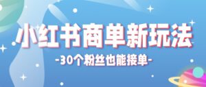 合新手小白操作的小红书商单新玩法，低粉丝也能接单，一个月接三单赚了150+！-川川创富网