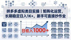 拼多多虚拟类目实操｜矩阵化运营，长期稳定日入 1K+，新手可直接抄作业-川川创富网