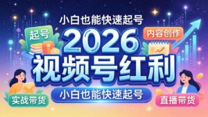2026视频号红利实战营，大佬亲授起号、内容、直播、IP、投流、私域、矩阵全套落地打法-川川创富网