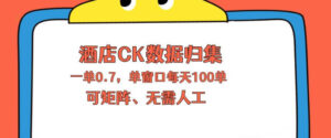 上班也能玩的酒店CK数据归集，一单0.7单窗口每天可做100单，一个人就能矩阵操作【揭秘】-川川创富网