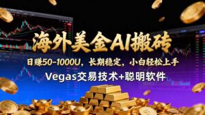 海外美金AI搬砖技术Vegas交易技术+聪明软件【训练营第七期】，日赚50-100U-川川创富网