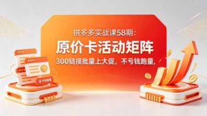 拼多多实战课58期：原价卡活动矩阵，300链接批量上大促，不亏钱跑量-川川创富网
