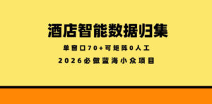 酒店智能数据归集，小众蓝海已经稳定半年之久，单窗口70+零成本矩阵开干【揭秘】-川川创富网