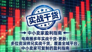 电商圈多年实战干货-更新5月20：多位资深师兄实战干货/覆盖全域平台，中小卖家可复制的盈利指南-川川创富网