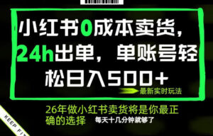小红书0成本AI卖货，24小时出单，全流程托管，保底日入500+，每天十几分钟就够了【揭秘】-川川创富网