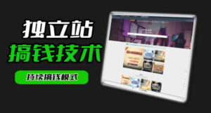 干货来袭！麦子甜带你吃透独立站｜从搭建到引流一站式教学《独立站》第一期-川川创富网