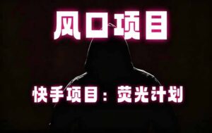 快手风口项目，荧光计划托管，长期稳定，适合批量做-川川创富网