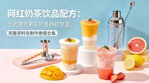 网红奶茶饮品配方：台式港式果茶奶盖杨枝甘露，完整资料包制作教程合集-川川创富网