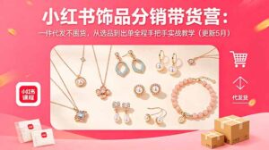 小红书饰品分销带货营：一件代发不囤货，从选品到出单全程手把手实战教学(更新5月-川川创富网