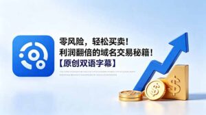 零风险，轻松买卖！利润翻倍的域名交易秘籍！【原创双语字幕】-川川创富网