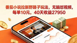 番茄小说拉新野路子玩法，无脑怼视频，每单10元，40天收益27950-川川创富网