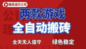 海外游戏全自动搬砖，日入1k+，全天无人值守，绿色稳定！【揭秘】-川川创富网