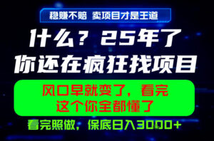26年，请不要疯狂的找项目做了！卖项目才是真的稳賺不赔，看完照做，保底日入1k+【揭秘】-川川创富网