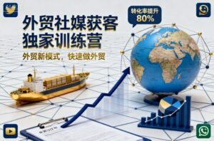 外贸社媒获客独家训练营，外贸新模式，快速做外贸(更新26年6月)-川川创富网