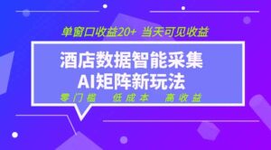 2026酒店数据采集ai智能矩阵新风口 低成本 高收益 当天见收益 单窗口20+-川川创富网