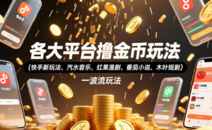 各大平台撸金币玩法(快手新玩法、汽水音乐、红果漫剧、番茄小说、木叶短剧)，一波流玩法(收费398元的教程)-川川创富网