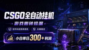 CSGO全自动挂机，游戏搬砖捡漏，软件科技简单易用，长期稳定，小白单日300+利润-川川创富网