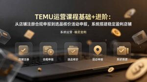 TEMU运营课程(基础+进阶-川川创富网