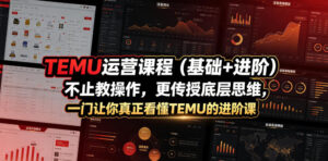 TEMU运营课程(基础+进阶)，不止教操作，更传授底层思维，一门让你真正看懂TEMU的进阶课-川川创富网