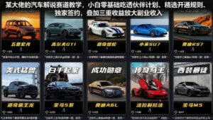 某大佬的汽车解说赛道教学，小白零基础吃透伙伴计划、精选开通规则、独家签约，叠加三重收益放大副业收入-川川创富网