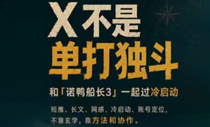 诺鸭船长3·X(Twitter)通关秘籍【飞书】-川川创富网